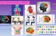 El ser humano: su Todo/Quinteto, su desarrollo cognitivo y el bienestar humano. Parte 1