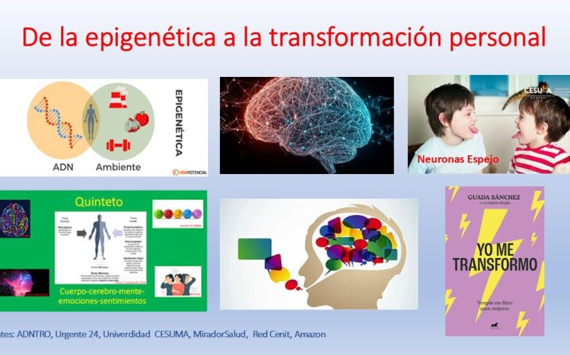 De la epigenética (ciencia) a la transformación personal. Parte 1