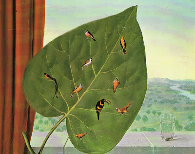 Miradorsalud. Una mirada al lado del camino a finales de 2025