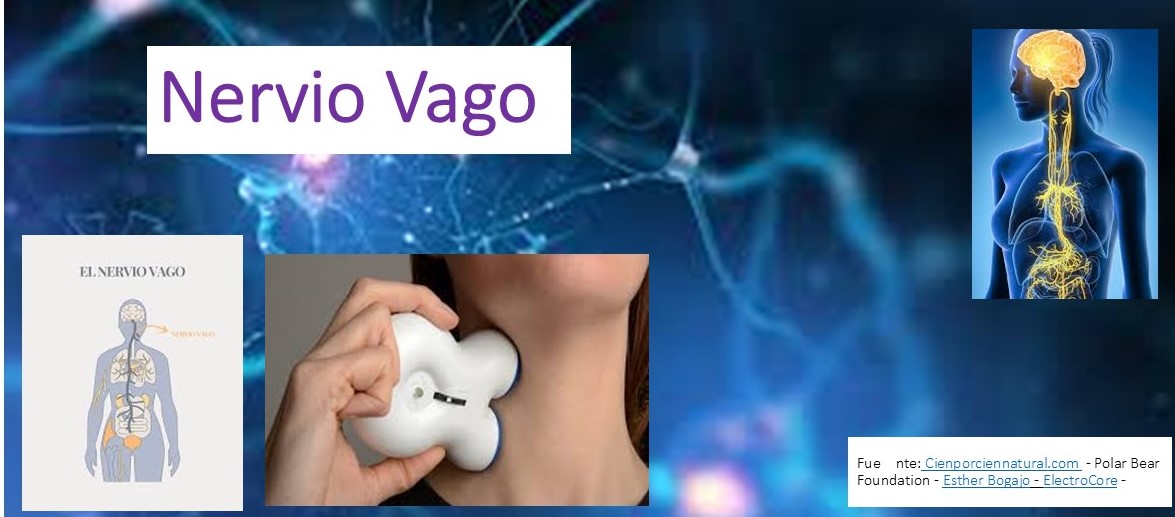 El nervio vago: un nervio rescatado