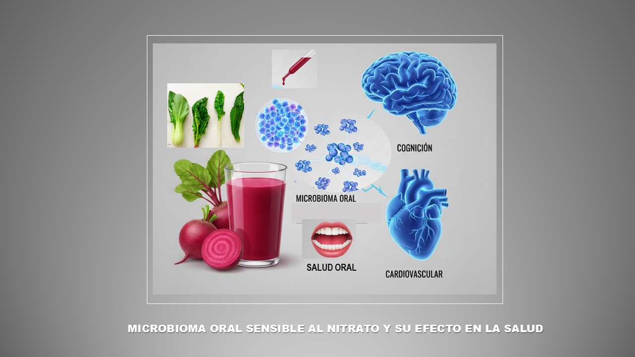 Microbioma oral sensible al nitrato de las hortalizas (jugo de remolacha) y su efecto en la salud
