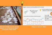 El negocio avícola, el déficit energético y la sostenibilidad de los productores avícolas independientes