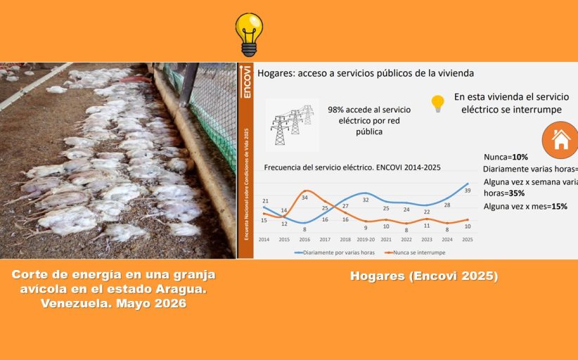 El negocio avícola, el déficit energético y la sostenibilidad de los productores avícolas independientes