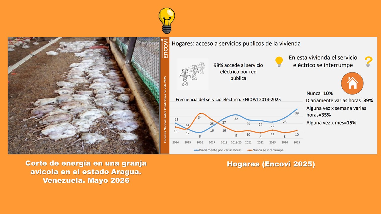 El negocio avícola, el déficit energético y la sostenibilidad de los productores avícolas independientes